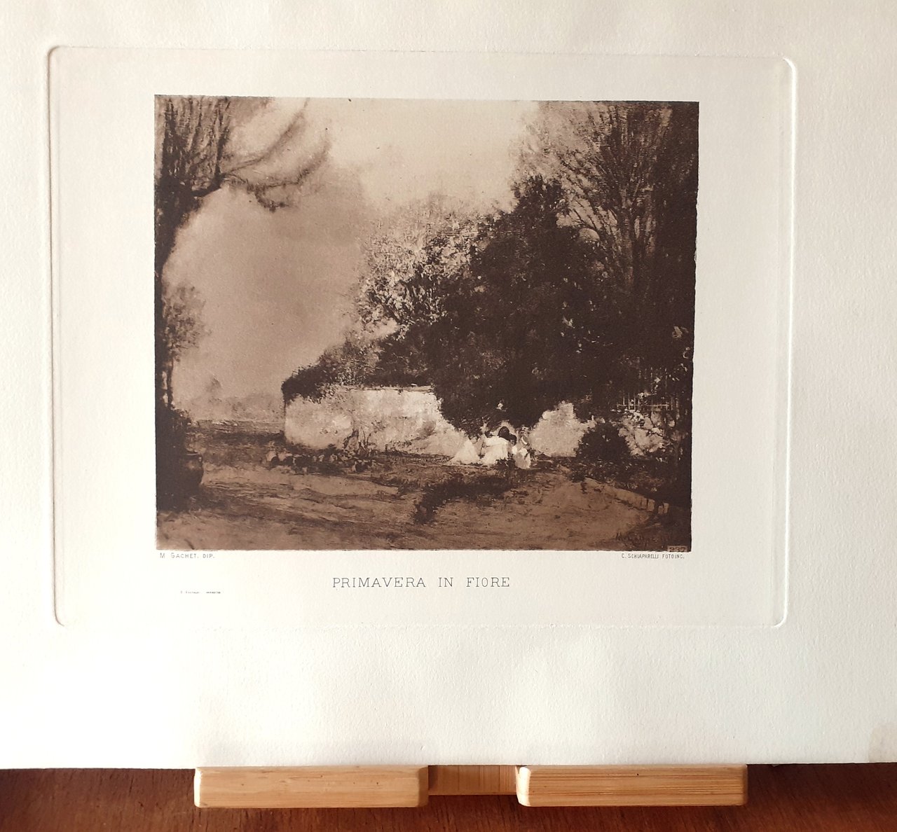 Primavera in fiore Cesare Schiaparelli incise 1906