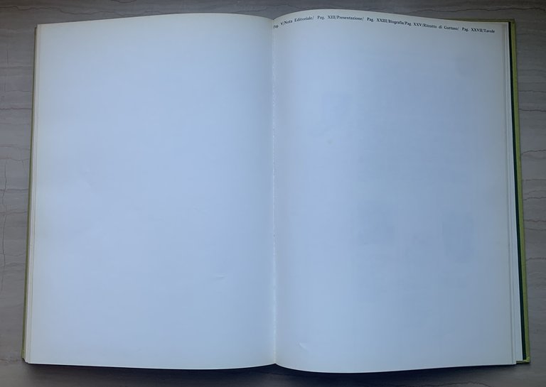 Renato Guttuso trent'anni: 1939 1969. Settantasei disegni presentati da Carlo …