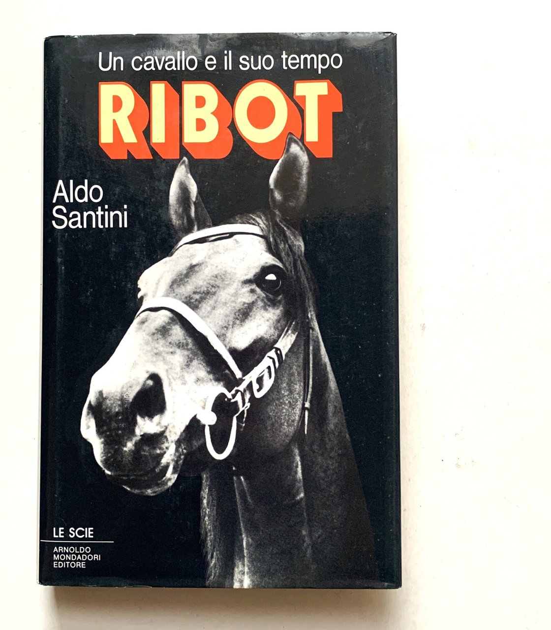 Ribot. Un cavallo e il suo tempo | Immagine principale