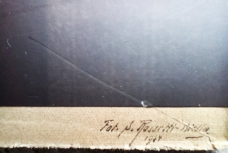 Ritratto fotografico del Matematico Enrico D'Ovidio 1907