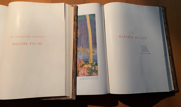 Romans completes illustrés de Pierre Loti de l'Académie française. Vol. … | Immagine Gallery 5