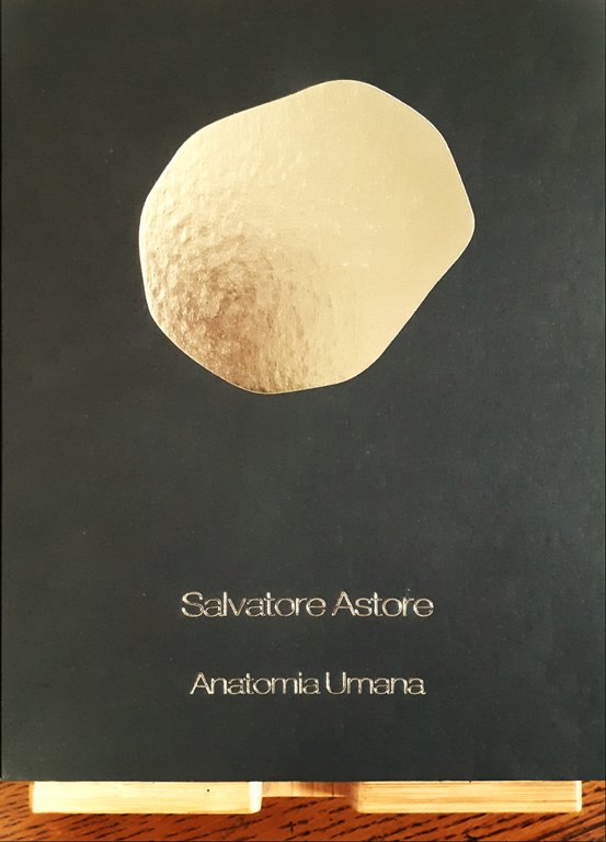Salvatore Astore  Anatomia Umana  Installazioni a Torino  2021