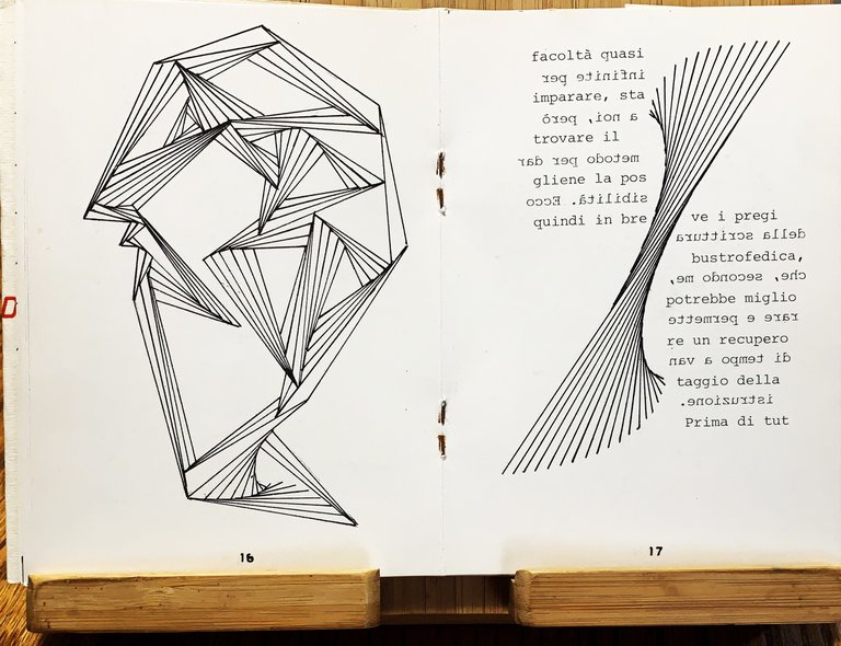 Scrittura bustrofedica. Proposta | Immagine Gallery 2