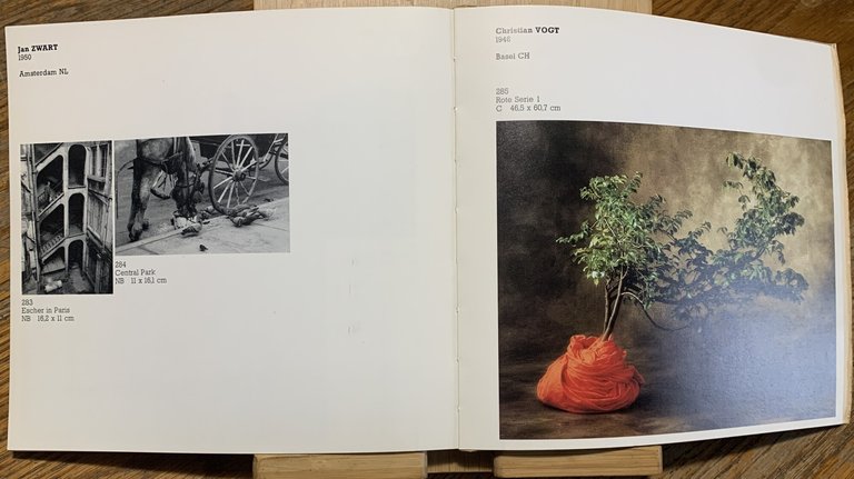 Seconda Triennale Internazionale della Fotografia | Immagine Gallery 3