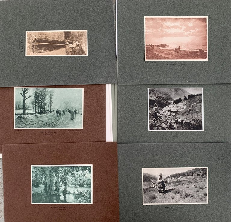 Società Promotrice di Belle Arti-Torino. Ricordo ai Soci dell'Esposizione 1904