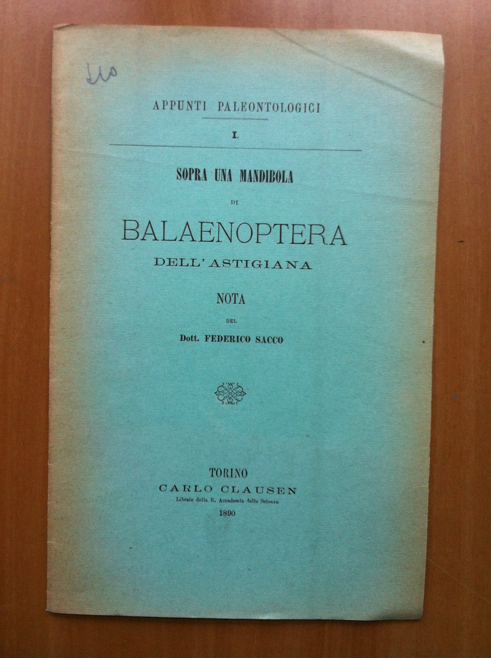 Sopra una mandibila di Balaenoptera dell'astigiana Dr. F. Sacco 1890 …