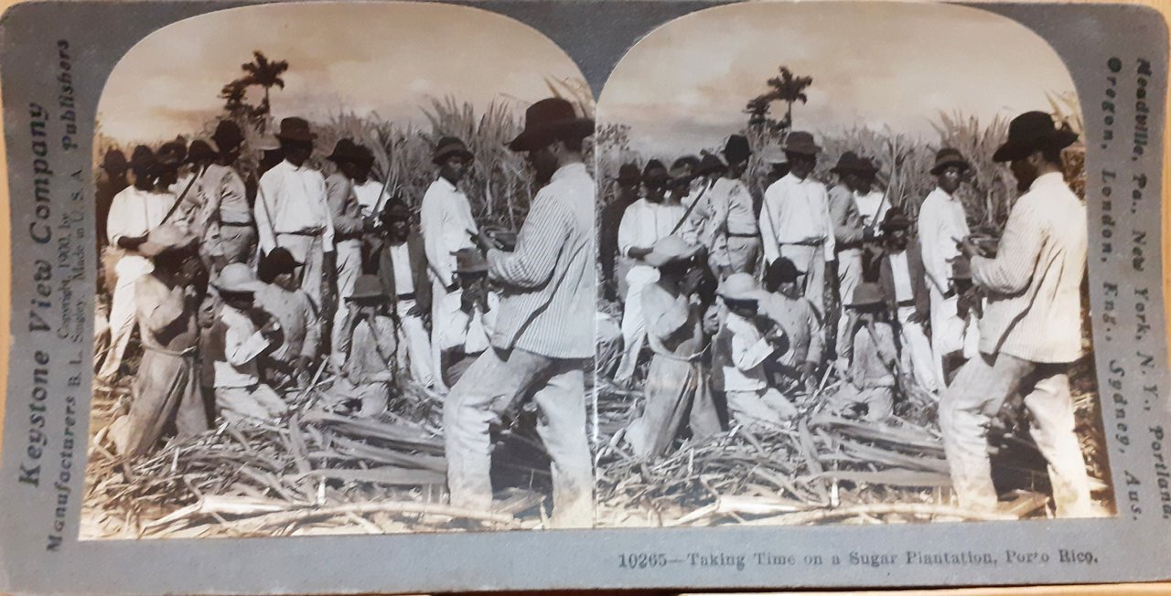 Stereo foto Keystone View Company 1900 | Immagine principale