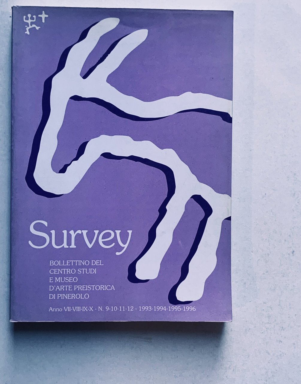 Survey. Bollettino del Centro Studi e Museo d'Arte Preistorica di … | Immagine principale