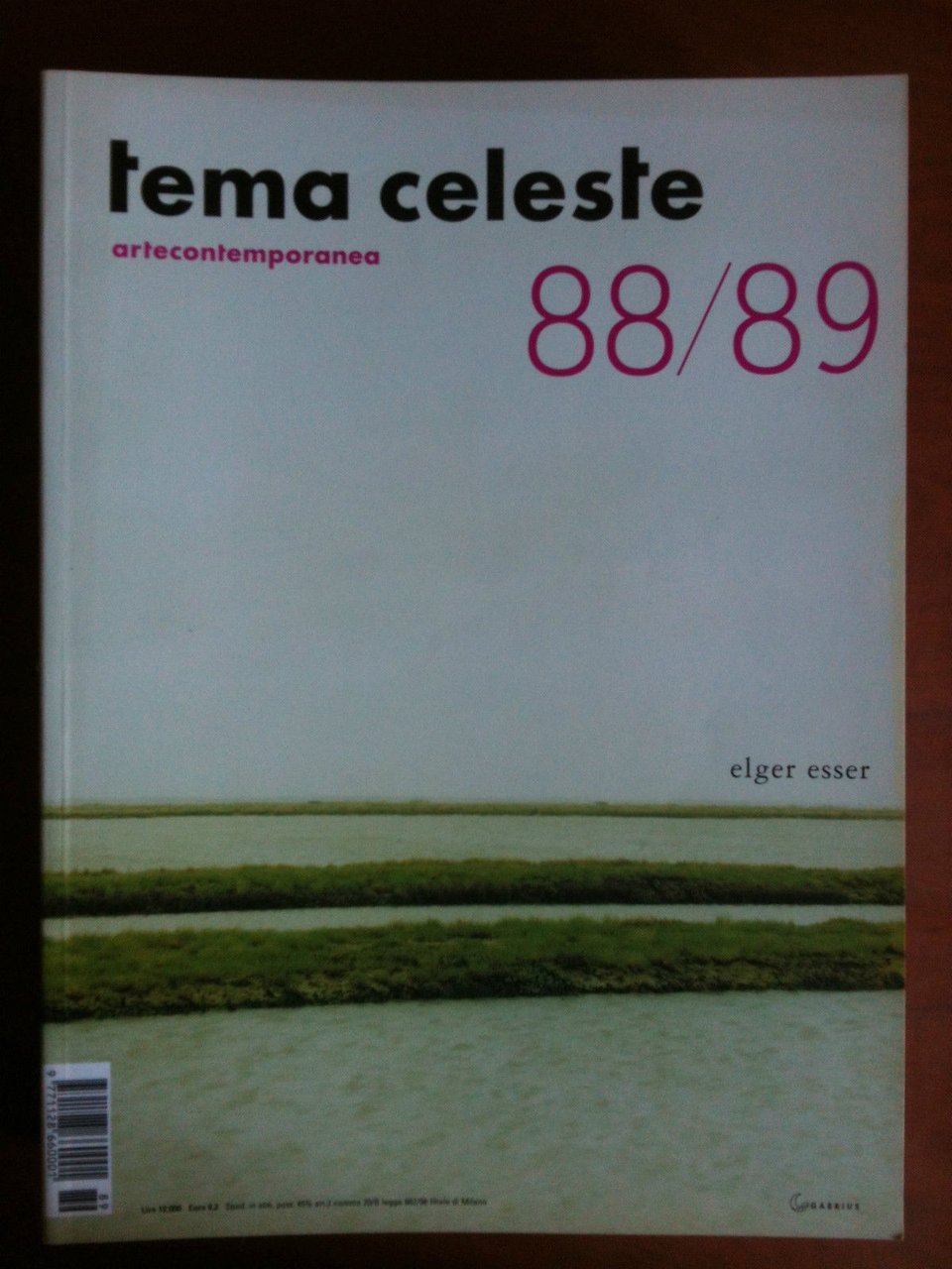tema celeste artecontemporanea 88/89 Gennaio/Febbraio 2002