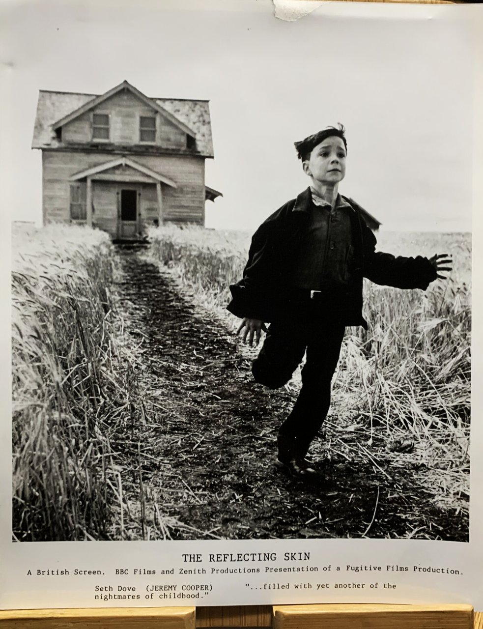 The Reflecting Skin Fotografia originale del film | Immagine principale