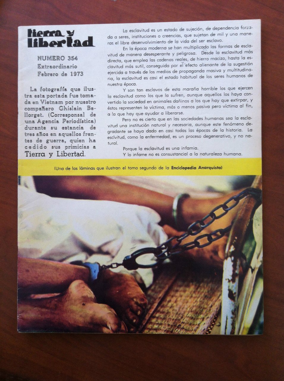 Tierra y libertad n^ 354 extraordinario Febrero 1973 - E19779