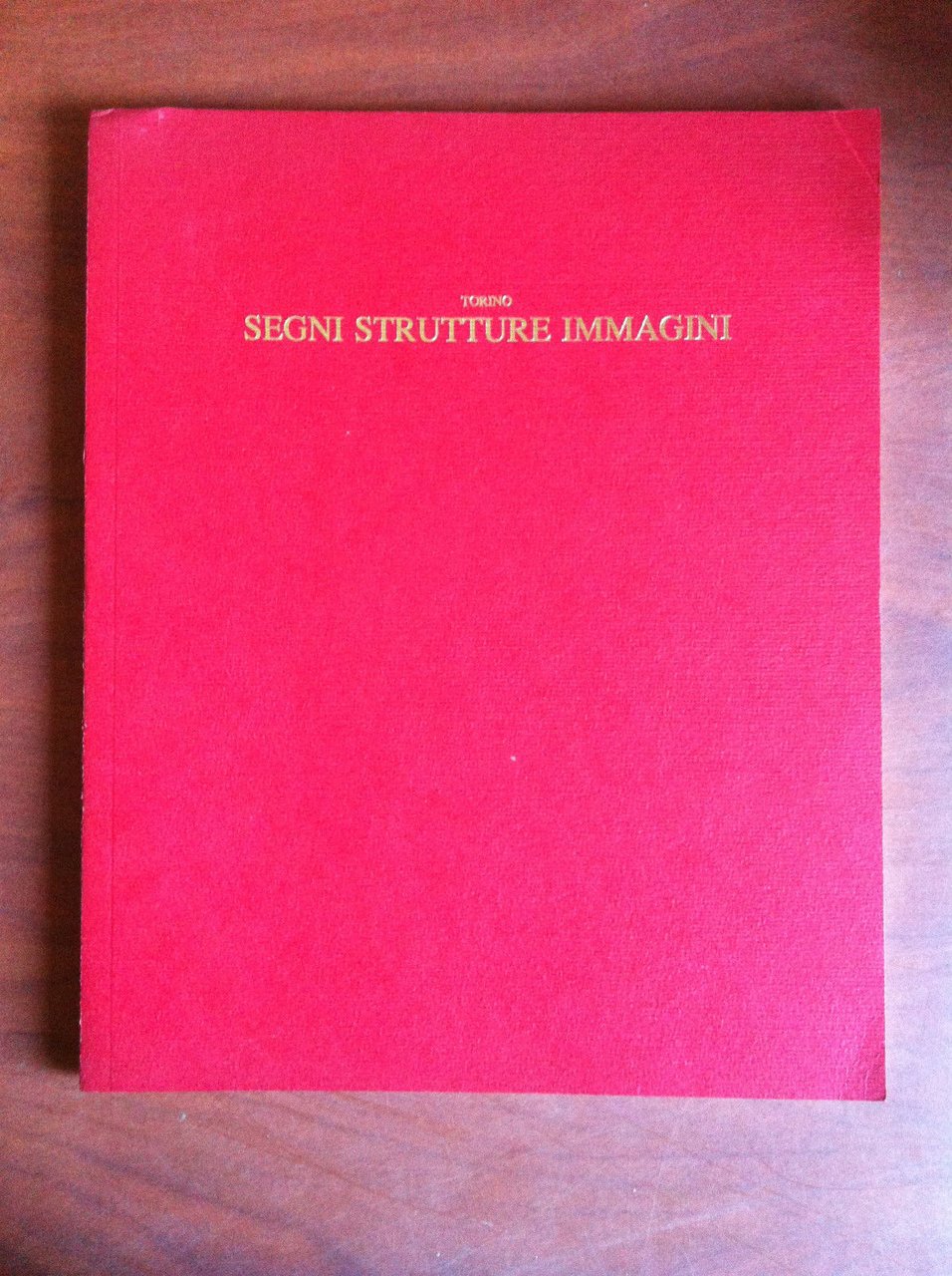Torino Segni Strutture Immagini Salamon Arte Moderna 1990 - E11976