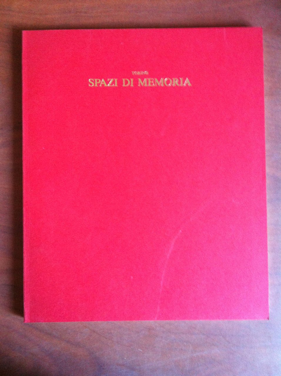 Torino Spazi di memoria 1991 Arte Moderna Salamon - E11973