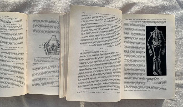 Trattato di Anatomia Patologica Speciale. Parte Prima (Apparato circolatorio - …