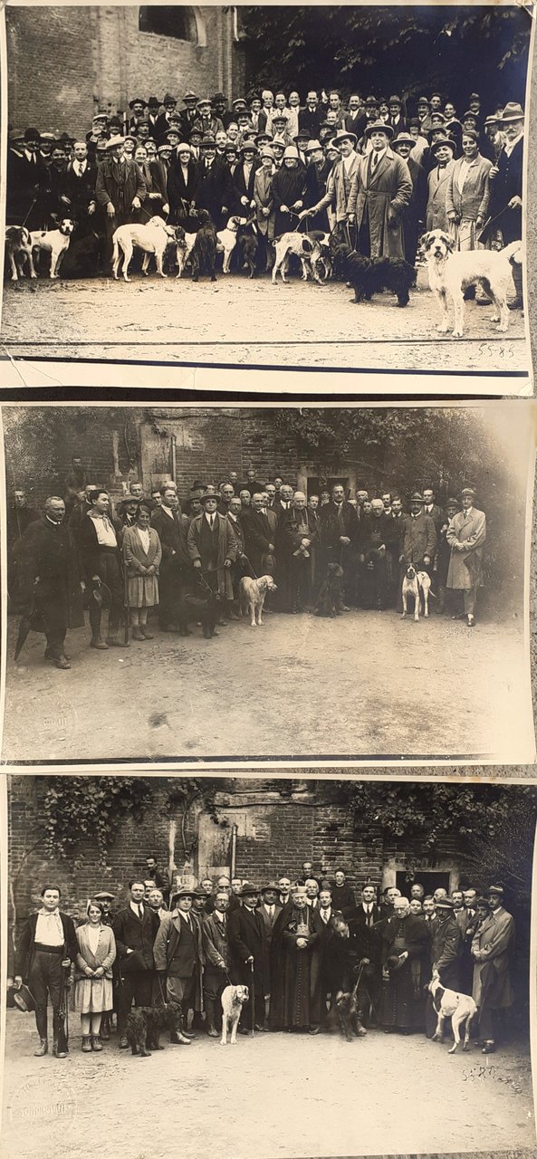 Tre fotografie gruppi cinofili Torino anni '30/40 fotografo Ottolenghi