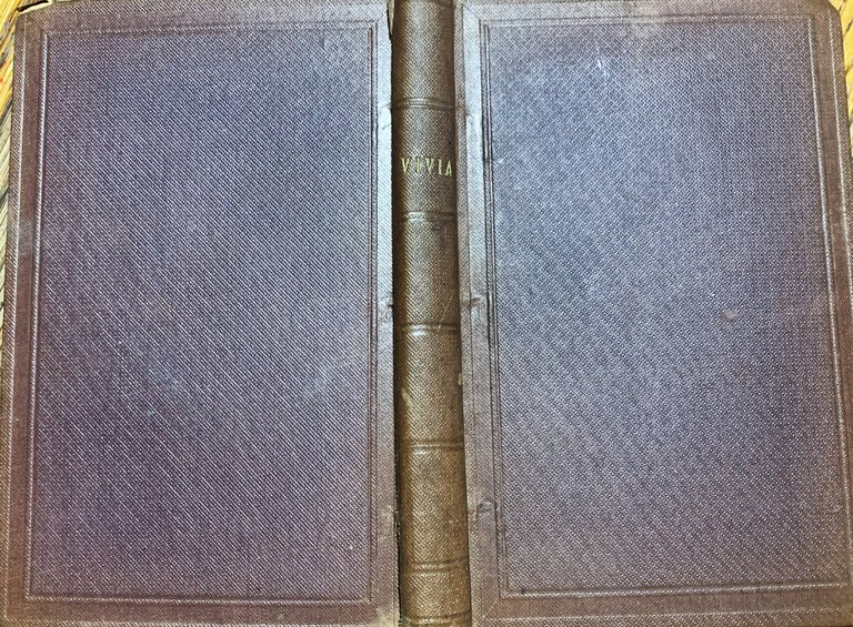 Vivia o la Chiesa di Cartagine | Immagine Gallery 2