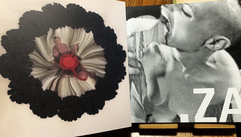 .za giovane arte dal sudafrica