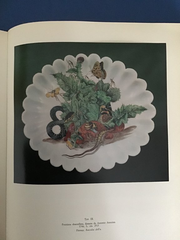 LA PORCELLANA DI DOCCIA