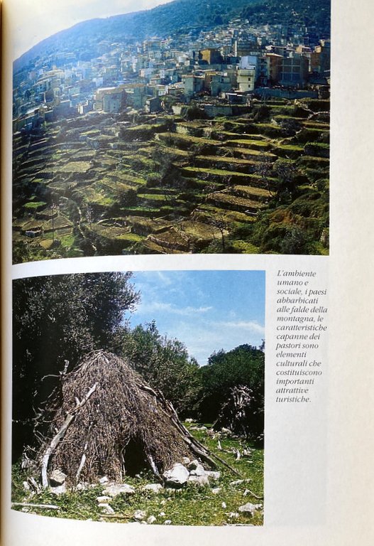 IL PARCO DEL GENNARGENTU: PROSPETTIVE DI SVILUPPO