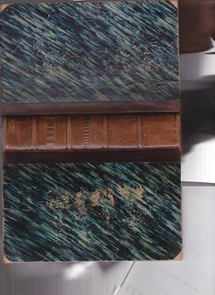 Luisa Strozzi. Storia del Secolo XVI