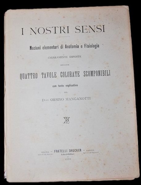 I nostri sensi. Nozioni elementari di Anatomia e Fisiologia chiaramente …