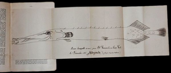 Journal du voyage de l'Aldegonda en Amerique et Antilles 1885. …