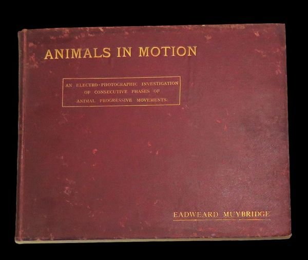 Animals in Motion, An Electro-Photographic Investigation of consecutive phases of …