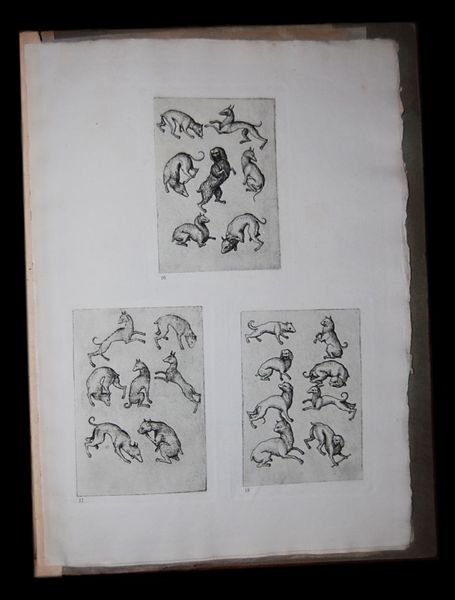 Die Spielkarten des Meisters E S 1466, in heliographischen nachbildungen …