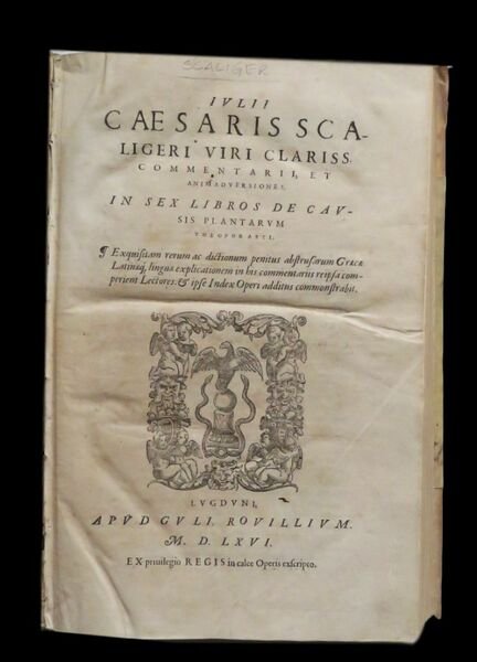 Commentarii, et animadversiones, in sex libros De causis plantarum Theophrasti. …