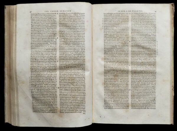 Commentarii, et animadversiones, in sex libros De causis plantarum Theophrasti. …