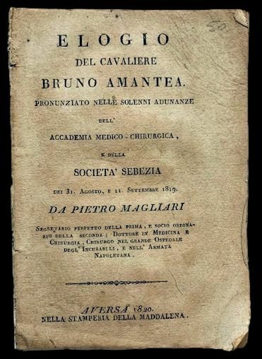 Elogio del cavaliere Bruno Amantea. Pronunziato nelle solenni adunanze dell'Accademia …