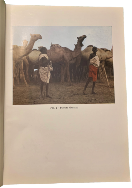 Somalia scritti vari editi ed inediti III: La poesia dei …