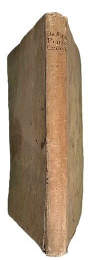 Criminalis decretorum praxis cum pluribus decisionibus, per regia tribunalia prolatis; … | Immagine Gallery 1