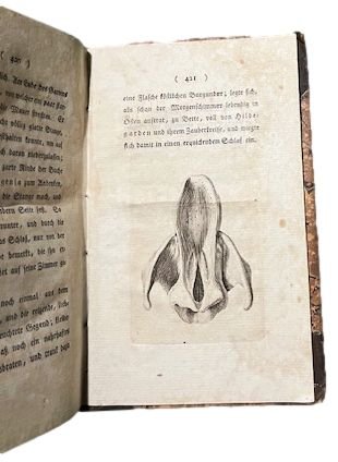 Hildegard von Hohenthal. (3 Bde. Compl.).
