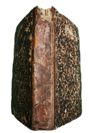 I Salmi di Davide, Nuova Traduzione dall'Ebraico con note ed …