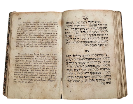 I Salmi di Davide, Nuova Traduzione dall'Ebraico con note ed …