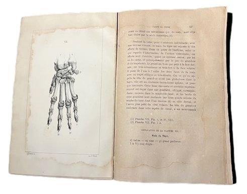 La Theorie Darwinienne et la Creation dite independante, Lettre A. …