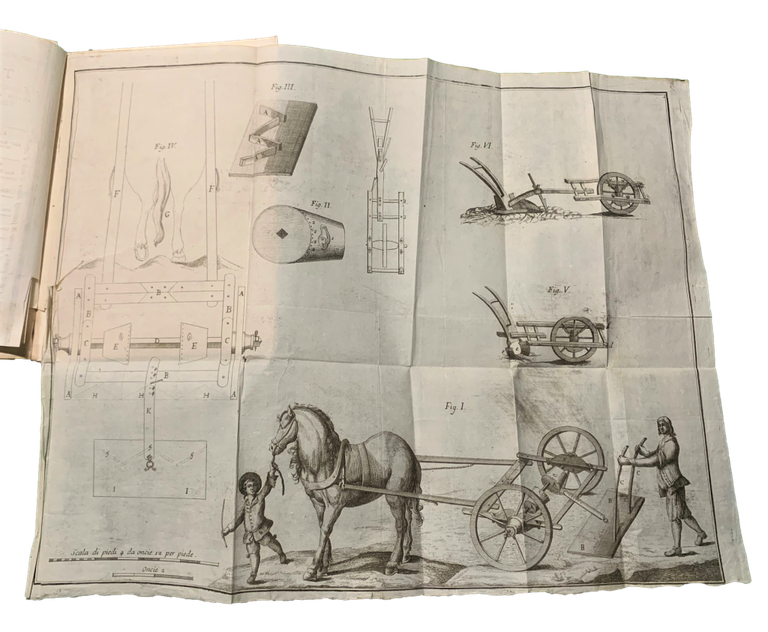 Nuova maniera di seminare, e coltivare il formento pubblicata dal …