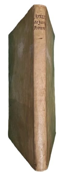 Tractatus celeberrimus de jure protomiseos, sive de jure congrui d. …
