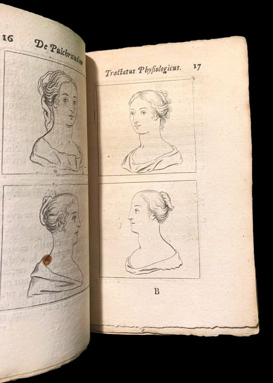 Tractatus physiologicus de pulchritudine. Juxta ea quae de sponsa in …