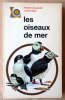 Les Oiseaux de Mer.