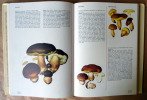 L'Atlas des Champignons.