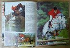 All colour book of Horses.