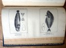 Précis D'Ichthyologie ou D'Histoire Naturelle des Poissons ou collection de …