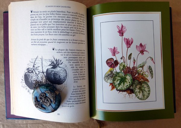 Le Jardin de mon Grand-Père.