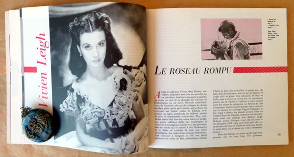 Hollywood. Désir de Star. Préface de Frédéric Mitterand.