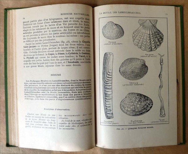 Sciences Naturelles. 1ère année des E.P.S. et des C.C. Classe …