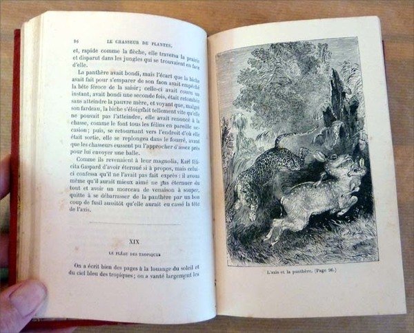 Le Chasseur de Plantes. Traduit de l'anglaispar Mme. Henriette Loreau.