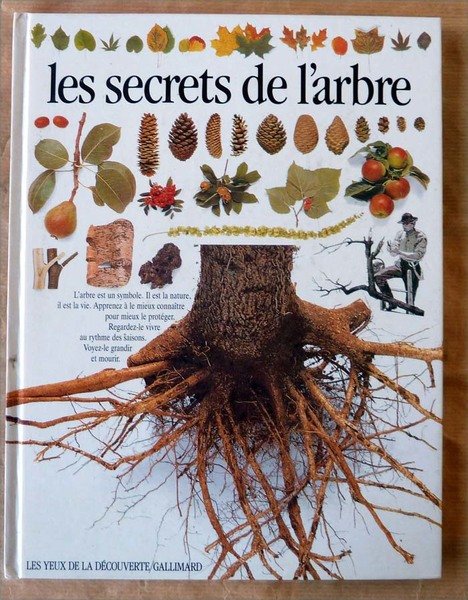 Les Secrets de L'Arbre.