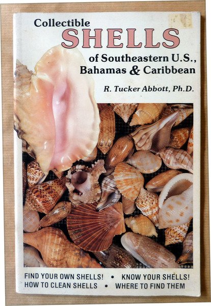 Collectible Shells of Southeastern U.S. Bahamas & Caribbean.